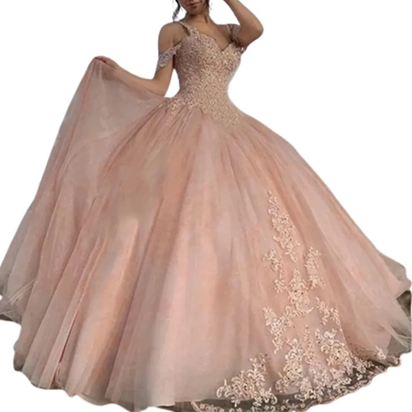 Funki Buys | Dresses | Women's Princess Quinceañera Gowns