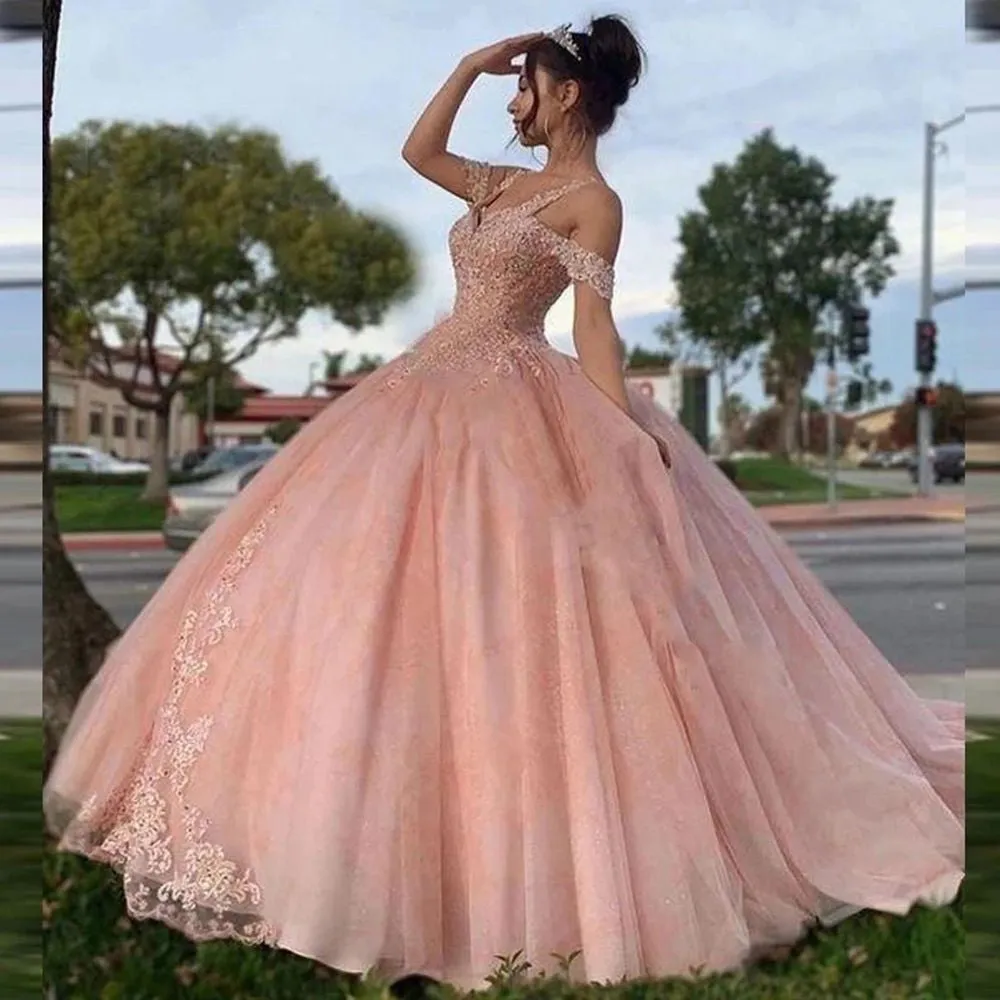 Funki Buys | Dresses | Women's Princess Quinceañera Gowns