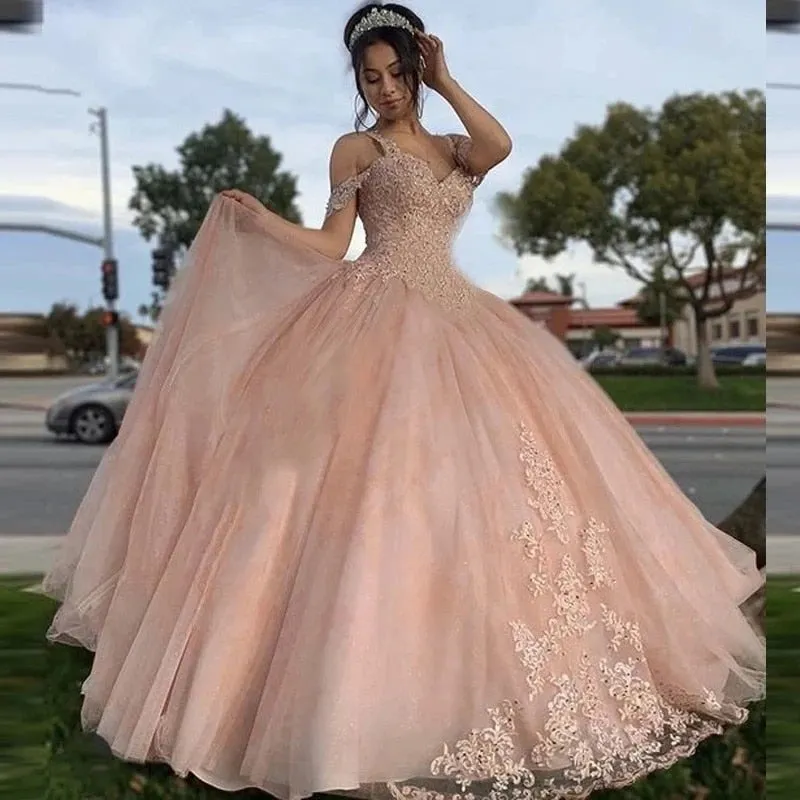 Funki Buys | Dresses | Women's Princess Quinceañera Gowns