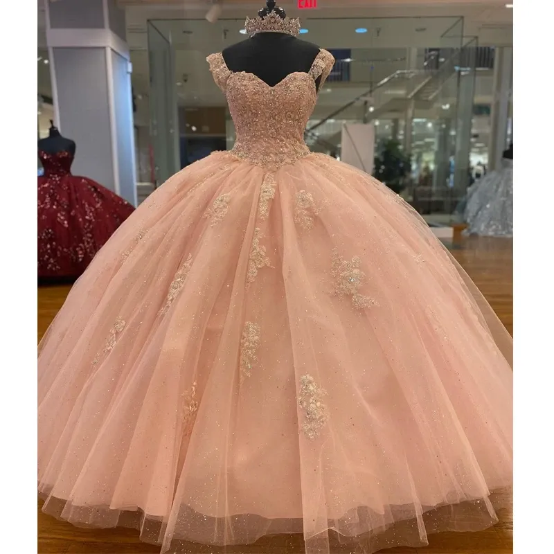 Funki Buys | Dresses | Women's Princess Quinceañera Gowns