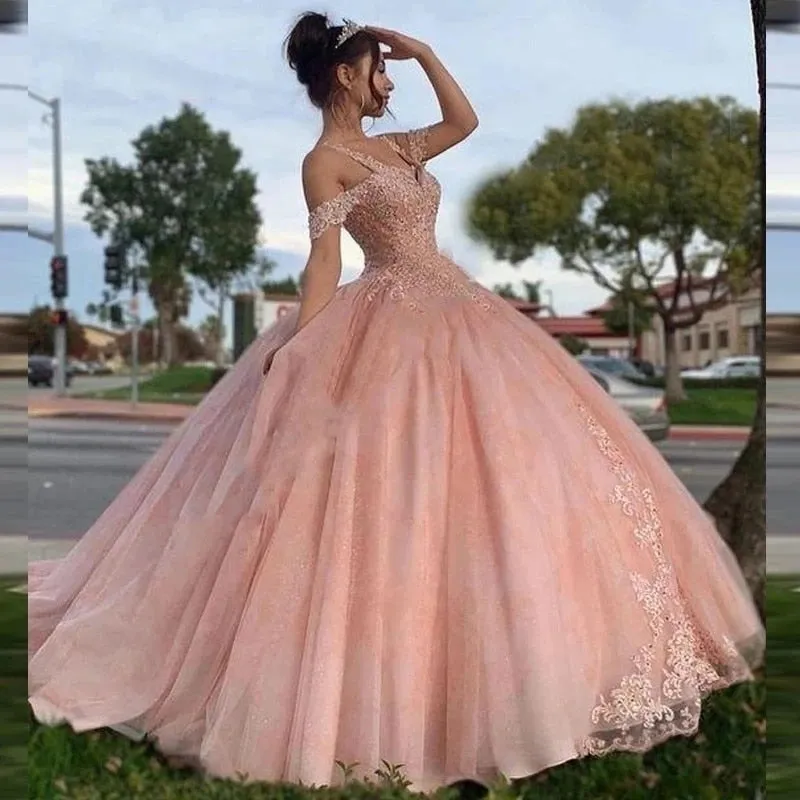 Funki Buys | Dresses | Women's Princess Quinceañera Gowns